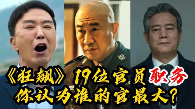 《狂飙》19位官员职务,安欣升职不易,他的地位太高无人敢查?!