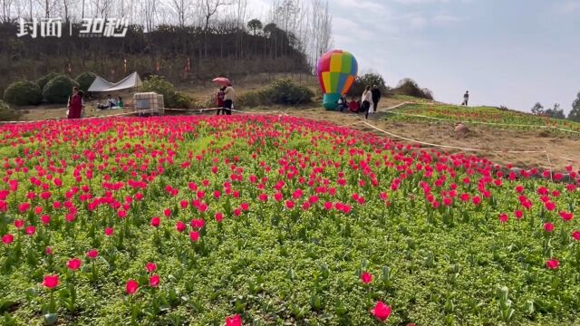 30秒|四川自贡沿滩春季乡村旅游系列活动启动