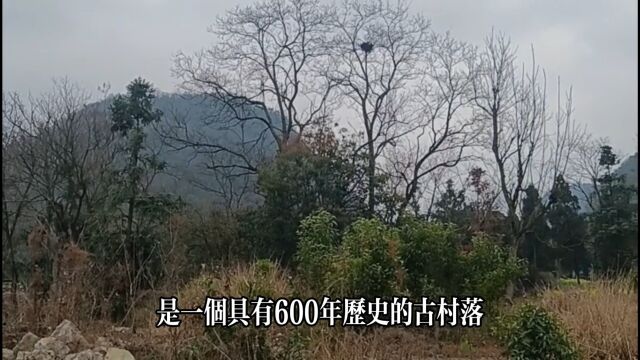 贵州安顺西秀区七眼桥镇时家屯村,拍摄村中古寺.体验古村魅力