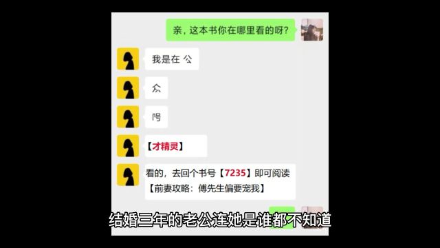 《前妻攻略:傅先生偏要宠我》盛眠傅燕城全文免费阅读(完整版)