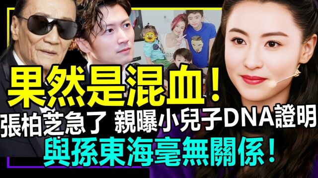 真相大白!张柏芝小儿子是混血,DNA证明流出惊呆全港!生父与孙东海毫无关系!