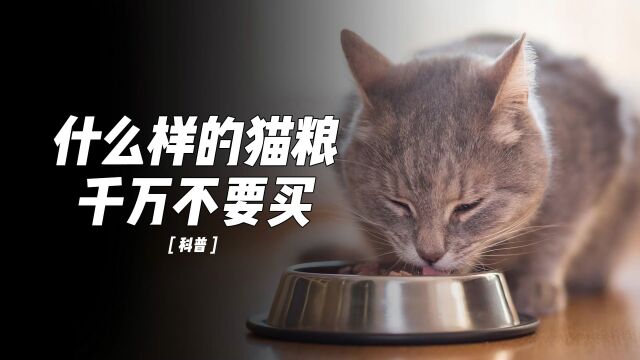 学会避坑黑心猫粮,这三种猫粮千万别买!