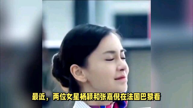 杨颖、张嘉妮被央视等平台强制封杀!