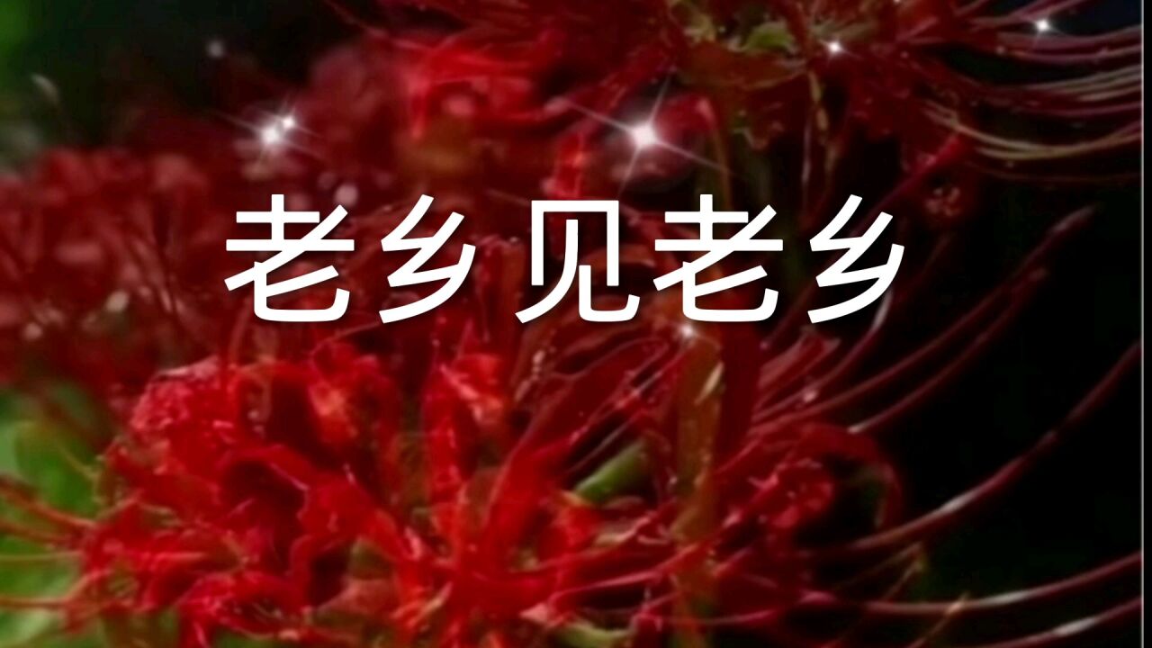 老乡见老乡,两眼泪汪汪.