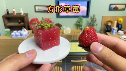 迷你厨房，挑战做一颗方形草莓，会更好吃吗？