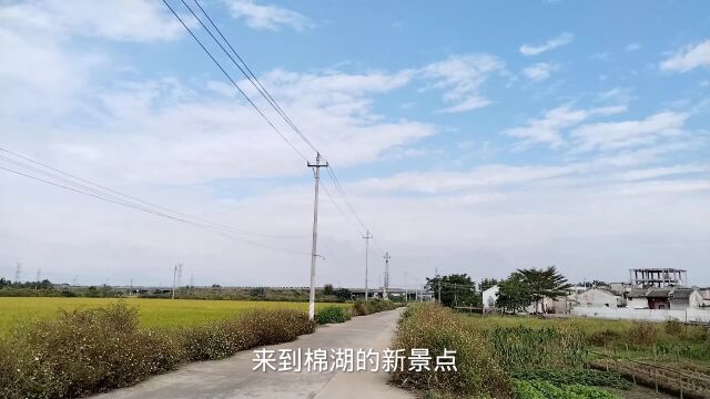 揭西县棉湖镇湿地公园实拍,春天景色惹人爱,周末愉快