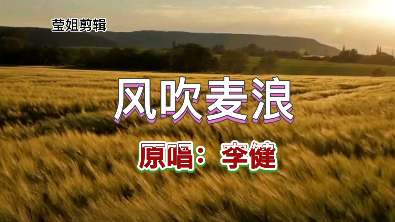 风吹麦浪歌曲(风吹麦浪歌曲现场版李健孙俪)