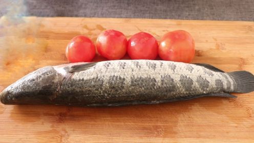 黑鱼搭配4个番茄，简单一做，吃肉又喝汤好过瘾，大人孩子超喜欢