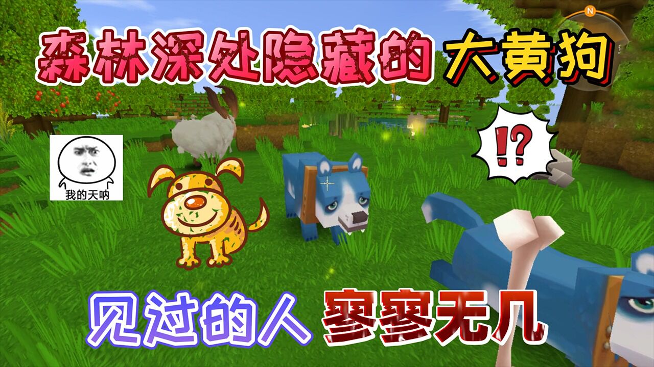 迷你世界:森林深处被隐藏的"大黄狗"可以被驯服,背在自己身后
