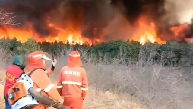 凌源市山火一夜未扑灭,当地又发布大风预警信号,消防正紧急救援