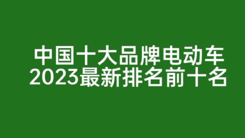 中国十大品牌电动车2023最新排名前十名
