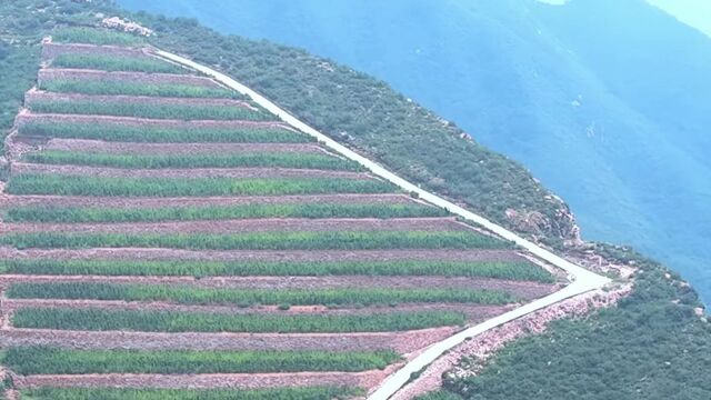 明天八点“鸣枪”!聚焦井陉大尖山村