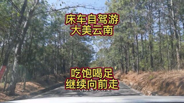 永仁县的方山是一个纯天然的森林公园