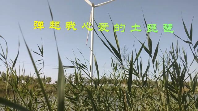 电子琴演奏 怀旧 向经典致