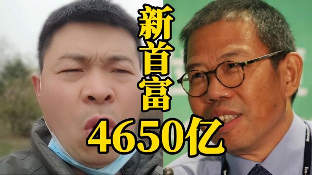 中国新首富诞生:4650亿身价,继续由她蝉联!