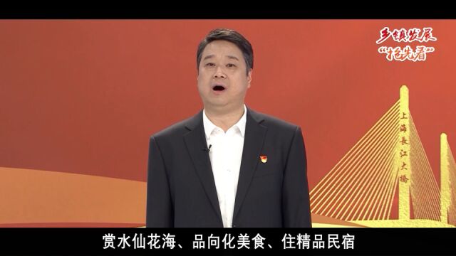 乡镇发展抢先看 | 2023,向化镇发展主打这张“牌”