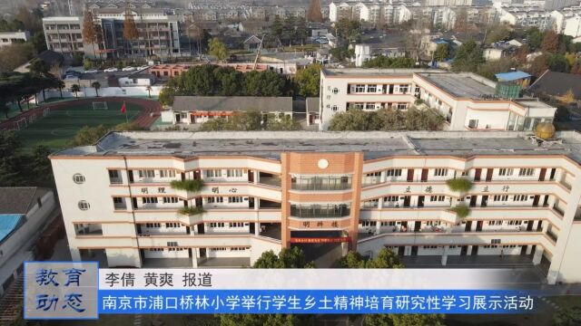 南京市小学综合实践教研活动在桥林小学举行