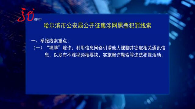 哈尔滨市公安局公开征集涉网黑恶犯罪线索