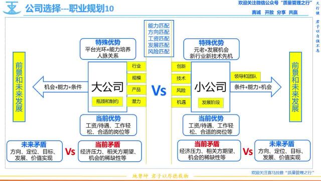 12 公司选择 职业规划10