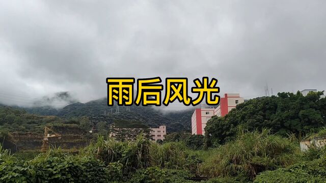 雨后风光无限好