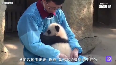 带薪养熊猫一点也不简单！想做熊猫饲养员，需要具备哪些技能？