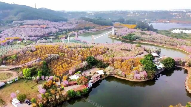 花都赤坭志惠农场,春天的花与诗