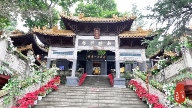 观音故里遂宁广德寺有六大镇馆之宝