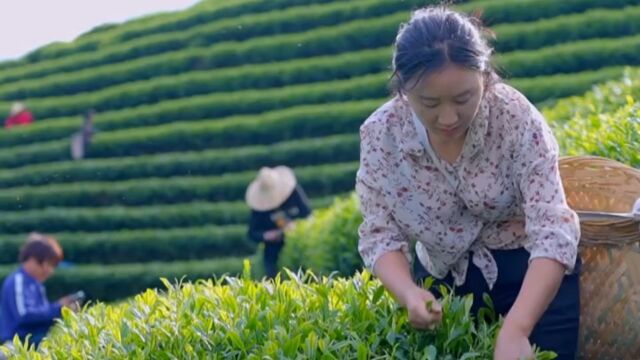 她是全网公认的最勤劳能干的女人,一个人致富带着全村人致富