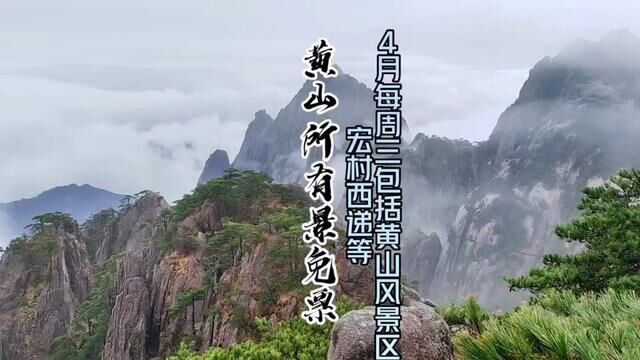 黄山风景区和西递宏村都免门票啦,包括黄山18家四A景区四月都免门票,错过再等五年.#旅行在此时 #综合探店流量来了 #清明去哪玩