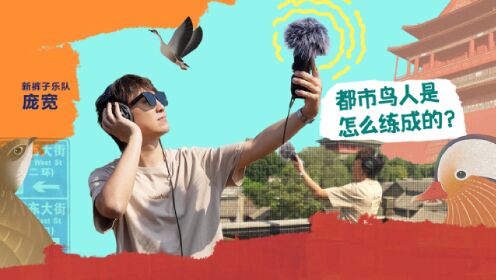 解法第7季_遛鸟、打鸟、观鸟?新裤子乐队庞宽告诉你都市鸟人是怎样练成的_高清完整版视频在线观看_腾讯视频