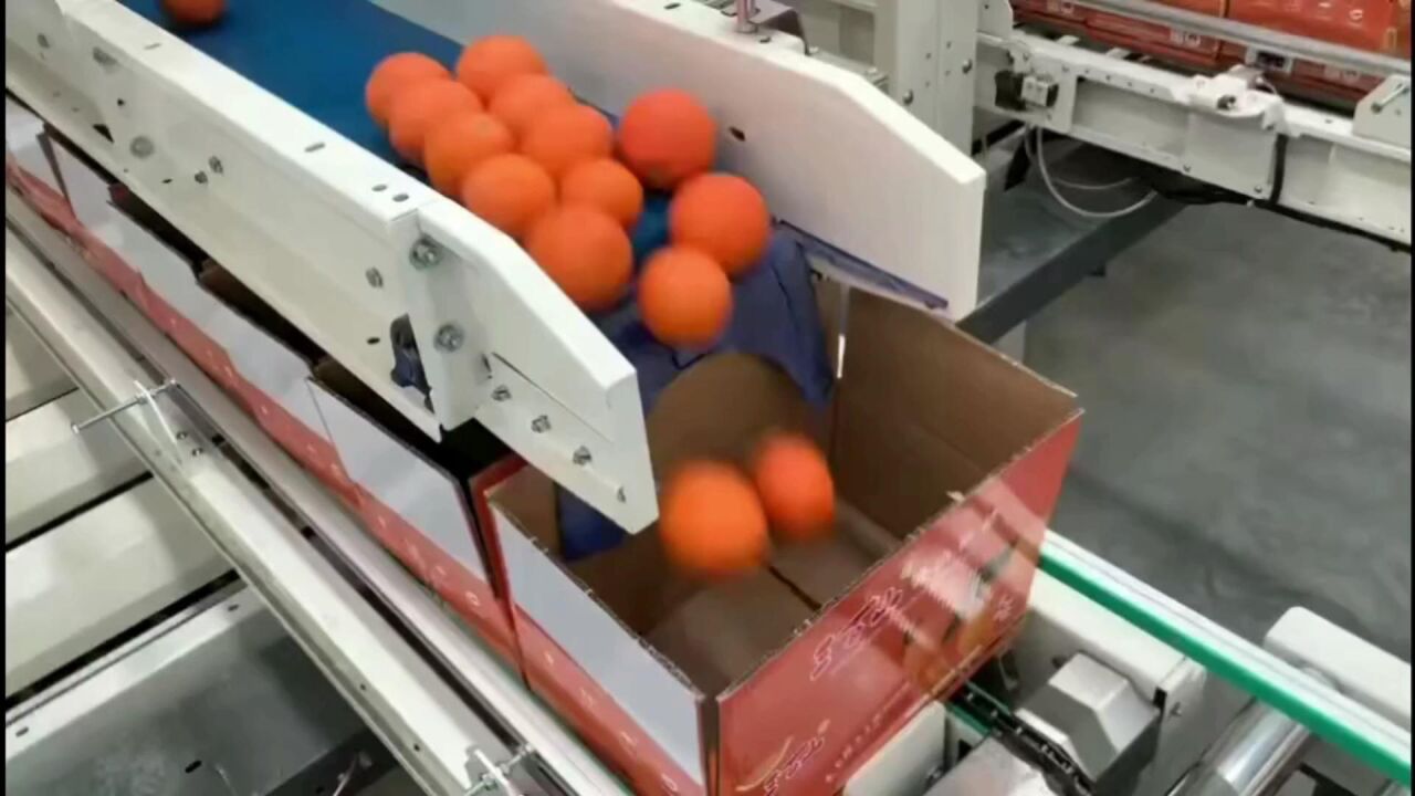 电商水果自动称重下料装箱 自动封箱打包机