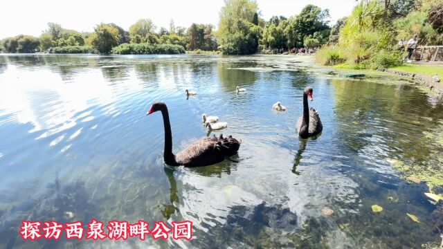 探访西泉湖畔公园