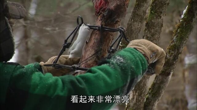 d121:查理遭遇暴风雪#山地硬汉#荒野求生