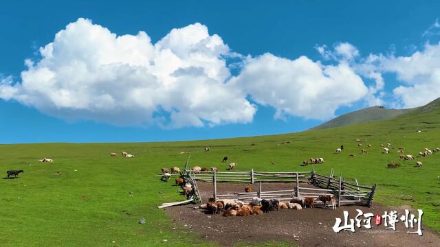 畅游绿水青山间~博州生态旅游受追捧