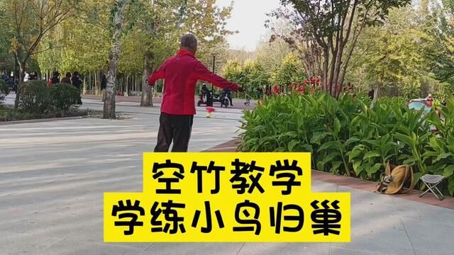 空竹教学:学练小鸟归巢 #空竹 #抖空竹