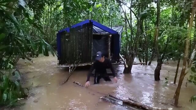 小伙在原始森林搭建庇护所,刚搭建完就差点被暴雨淹没