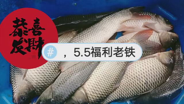 5.5福利老铁