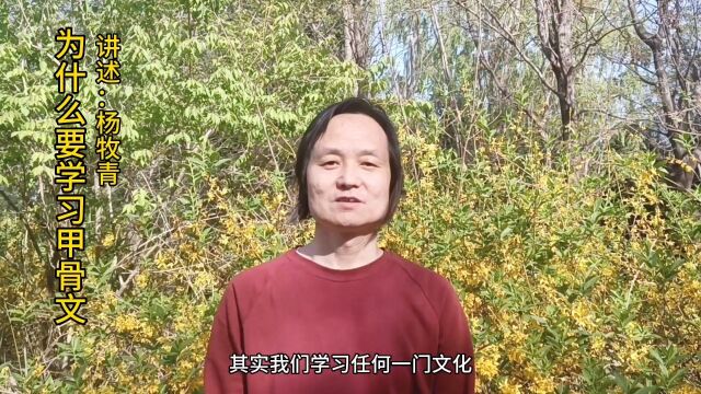 杨牧青讲述:为什么要学习甲骨文?#人文社科