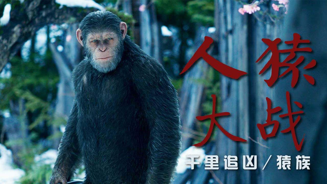 猩猩的史诗级复仇之路,一分钟带你看完人猿大战_高清1080P在线观看平台_腾讯视频