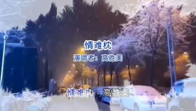 高胜美《情难忱》K歌版,柔美的声音,感人的故事