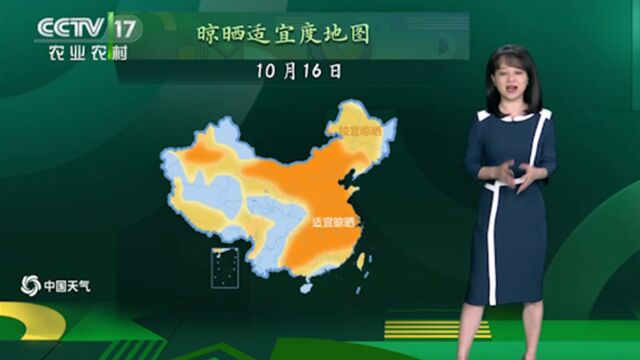 中国气象局中央气象台,哈尔滨五天天气预报