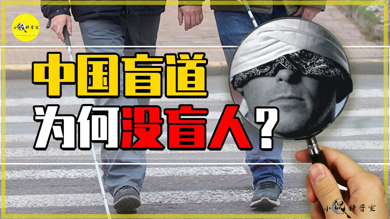 中国盲人数量全球第一，盲道数量世界第二，为何盲道上没有盲人_高清1080P在线观看平台_腾讯视频