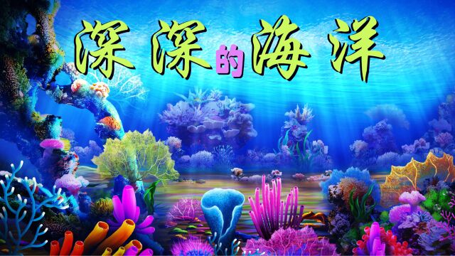 在美丽的大海深处,欣赏经典小提琴曲《深深的海洋》