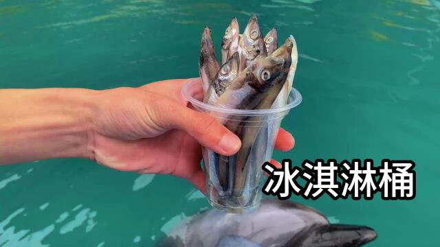 泉州石狮海洋世界