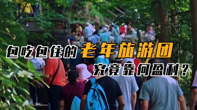 低价老年旅游团,究竟是靠什么盈利?背后隐藏的“猫腻”可真不少