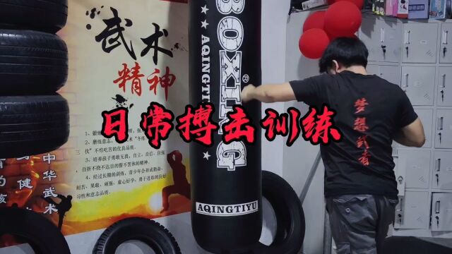 日常搏击拳法打靶训练,直拳、勾拳、挂锤