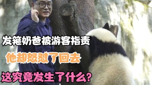 发箍奶爸被游客指责,他却怒怼了回去,这究竟发生了什么?