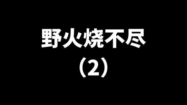 #最美的风景在路上 #歌曲在路上 #野火烧不尽