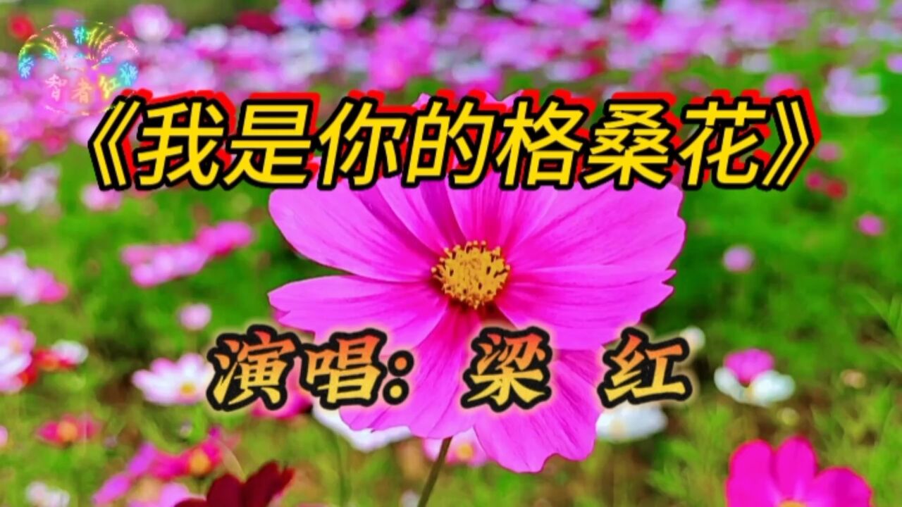 梁红的一首《我是你的格桑花》深情伤感,催人泪下