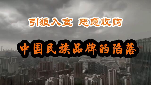 中国民族品牌的陷落从1994年外资的恶意收购开始